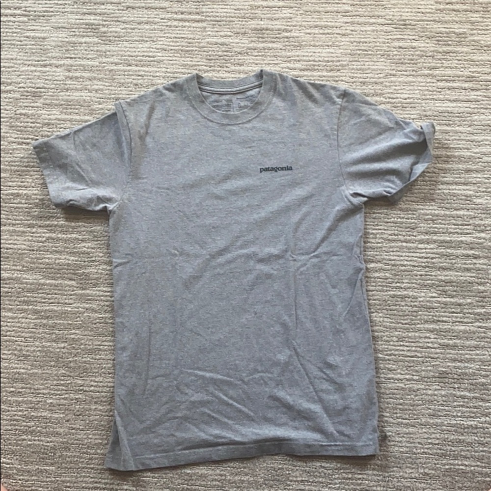 Men's Patagonia T-shirt